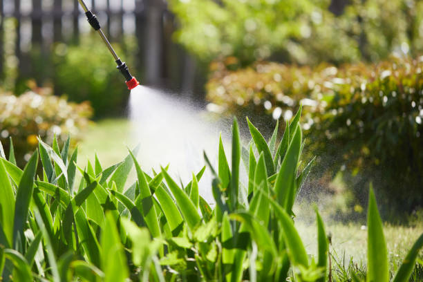 24/7 Emergency Fumigation Services experts in Flower Hill, MD