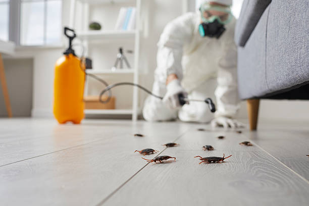 Trusted Cockroach Control service in Flower Hill, MD - Nex Pest Control