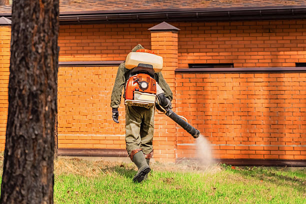 Trusted Mosquito Control service in Flower Hill, MD - Nex Pest Control